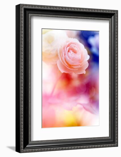 Beautiful Flowers Made with Color Filters and Textures-Timofeeva Maria-Framed Photographic Print