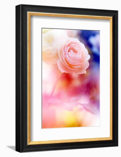 Beautiful Flowers Made with Color Filters and Textures-Timofeeva Maria-Framed Photographic Print