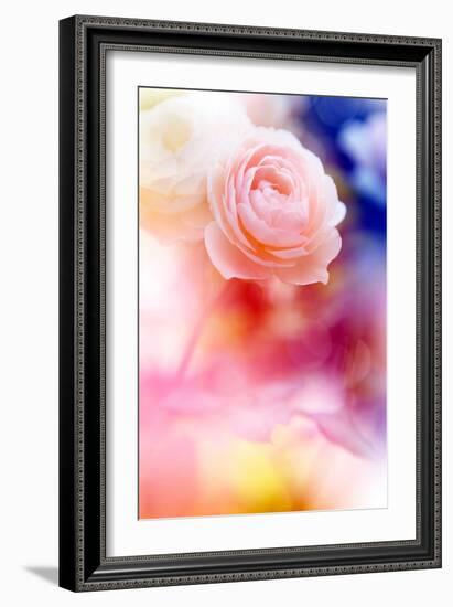 Beautiful Flowers Made with Color Filters and Textures-Timofeeva Maria-Framed Photographic Print