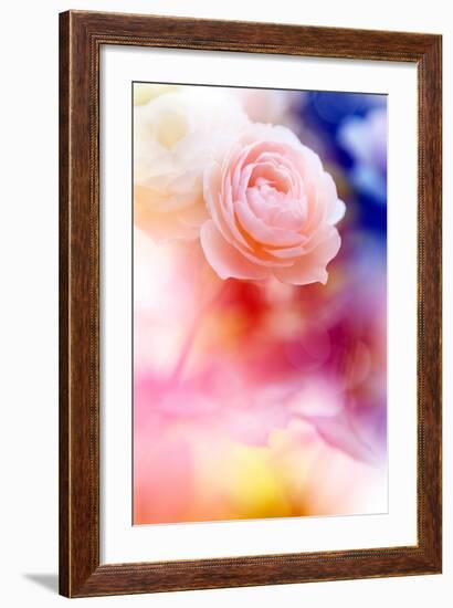 Beautiful Flowers Made with Color Filters and Textures-Timofeeva Maria-Framed Photographic Print