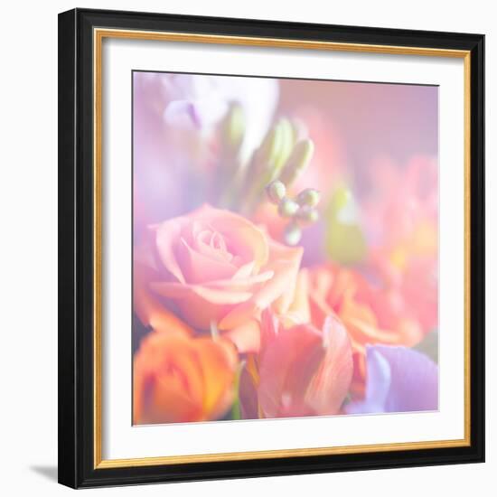 Beautiful Flowers Made with Color Filters, Floral Background-Timofeeva Maria-Framed Art Print