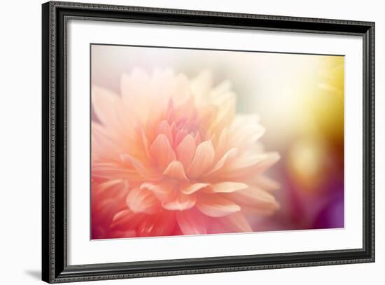 Beautiful Flowers Made with Color Filters-Timofeeva Maria-Framed Art Print