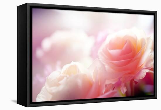 Beautiful Flowers Made with Color Filters-Timofeeva Maria-Framed Premier Image Canvas