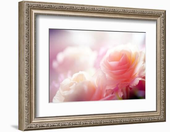 Beautiful Flowers Made with Color Filters-Timofeeva Maria-Framed Premium Photographic Print