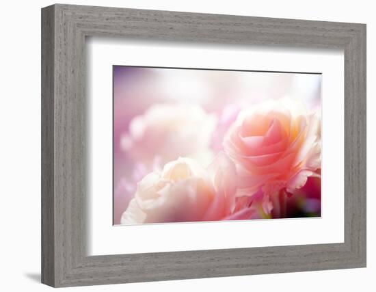 Beautiful Flowers Made with Color Filters-Timofeeva Maria-Framed Premium Photographic Print