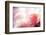 Beautiful Flowers Made with Color Filters-Timofeeva Maria-Framed Premium Photographic Print