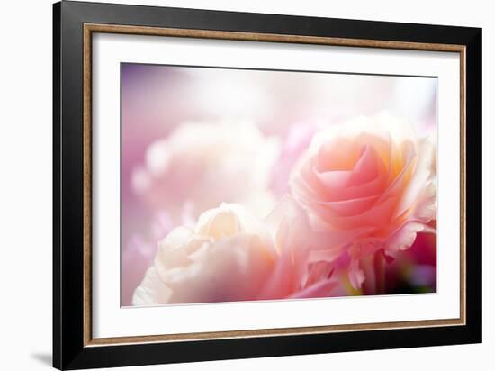 Beautiful Flowers Made with Color Filters-Timofeeva Maria-Framed Photographic Print