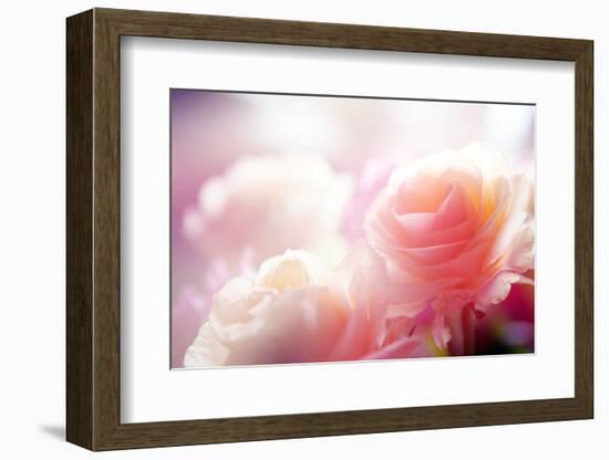 Beautiful Flowers Made with Color Filters-Timofeeva Maria-Framed Photographic Print