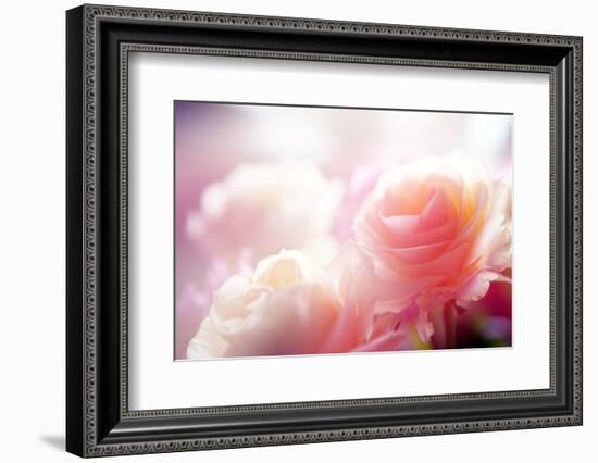 Beautiful Flowers Made with Color Filters-Timofeeva Maria-Framed Photographic Print