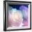 Beautiful Flowers Made with Color Filters-Timofeeva Maria-Framed Photographic Print