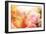 Beautiful Flowers Made with Color Filters-Timofeeva Maria-Framed Photographic Print