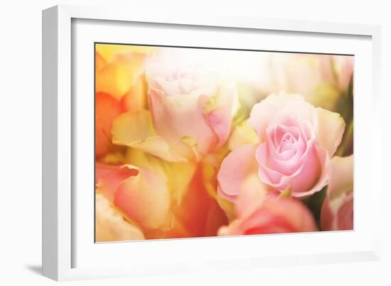 Beautiful Flowers Made with Color Filters-Timofeeva Maria-Framed Photographic Print