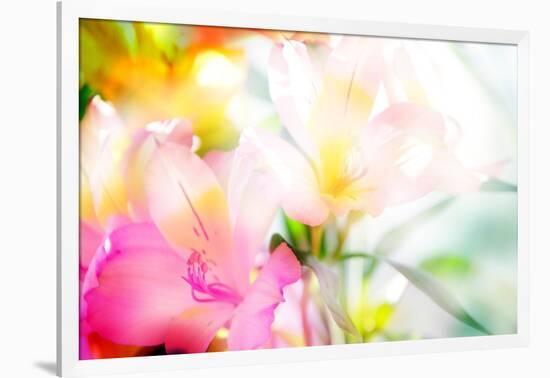 Beautiful Flowers Made with Color Filters-Timofeeva Maria-Framed Premium Giclee Print