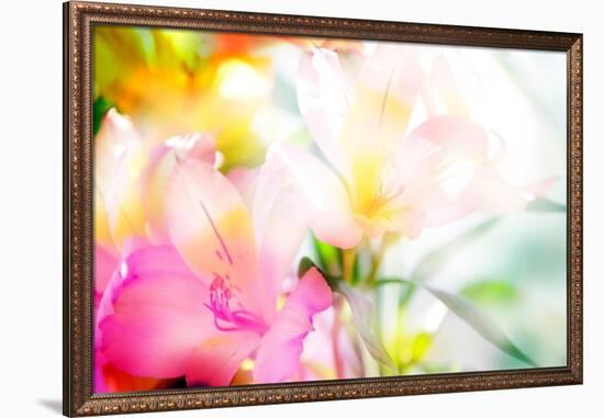 Beautiful Flowers Made with Color Filters-Timofeeva Maria-Framed Premium Giclee Print