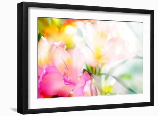 Beautiful Flowers Made with Color Filters-Timofeeva Maria-Framed Art Print