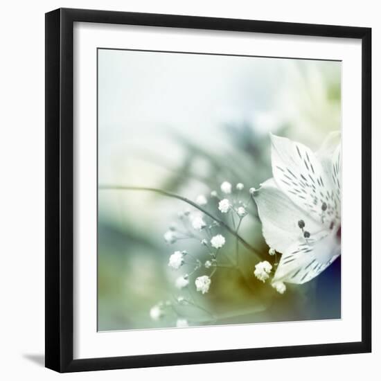 Beautiful Flowers Made with Color Filters-Timofeeva Maria-Framed Art Print