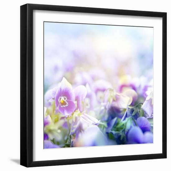 Beautiful Flowers Made with Color Filters-Timofeeva Maria-Framed Art Print