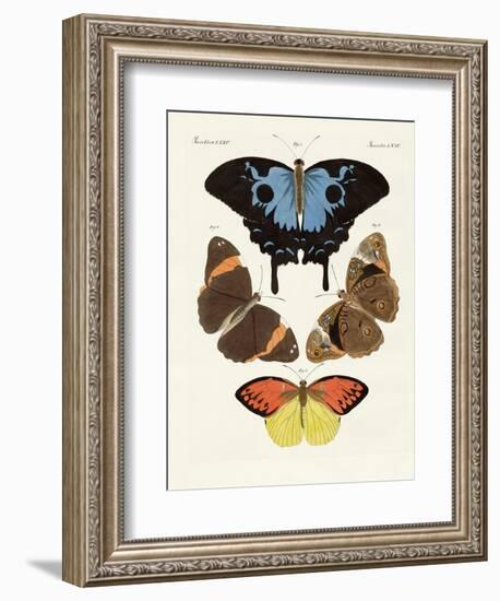 Beautiful Foreign Butterflies-null-Framed Giclee Print