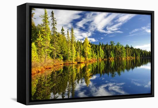 Beautiful Forest Reflecting on Calm Lake Shore at Algonquin Park, Canada-elenathewise-Framed Premier Image Canvas