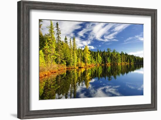 Beautiful Forest Reflecting on Calm Lake Shore at Algonquin Park, Canada-elenathewise-Framed Photographic Print