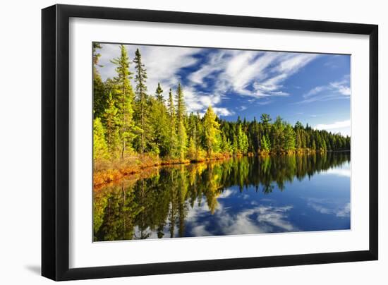 Beautiful Forest Reflecting on Calm Lake Shore at Algonquin Park, Canada-elenathewise-Framed Photographic Print