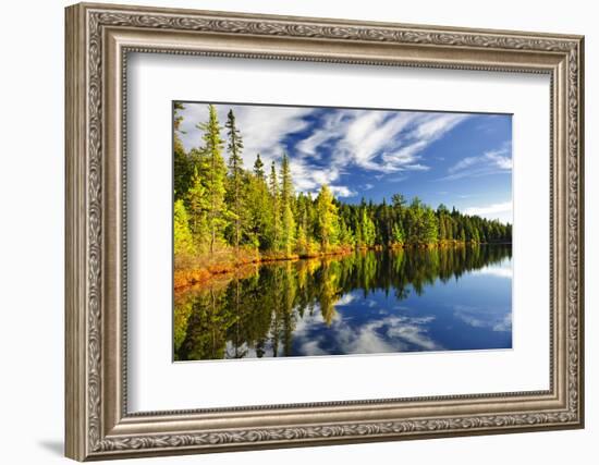 Beautiful Forest Reflecting on Calm Lake Shore at Algonquin Park, Canada-elenathewise-Framed Photographic Print