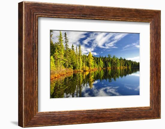 Beautiful Forest Reflecting on Calm Lake Shore at Algonquin Park, Canada-elenathewise-Framed Photographic Print