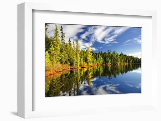 Beautiful Forest Reflecting on Calm Lake Shore at Algonquin Park, Canada-elenathewise-Framed Photographic Print