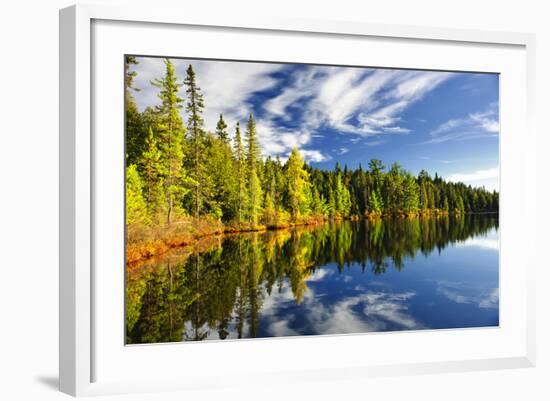 Beautiful Forest Reflecting on Calm Lake Shore at Algonquin Park, Canada-elenathewise-Framed Photographic Print