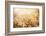 Beautiful Fresh Chamomile Meadow in Warm Sunset Light-Anna Omelchenko-Framed Photographic Print