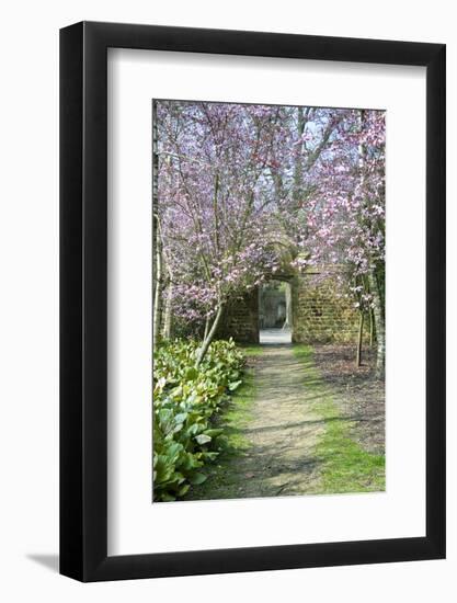 Beautiful Fresh Spring Blossom-Veneratio-Framed Photographic Print