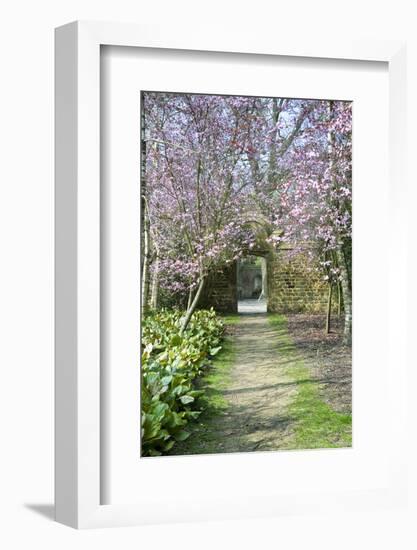 Beautiful Fresh Spring Blossom-Veneratio-Framed Photographic Print