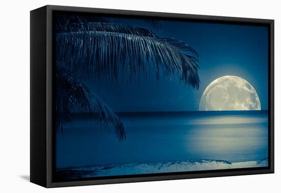 Beautiful Full Moon Reflected on the Calm Water of a Tropical Beach (Toned in Blue)-Kamira-Framed Premier Image Canvas