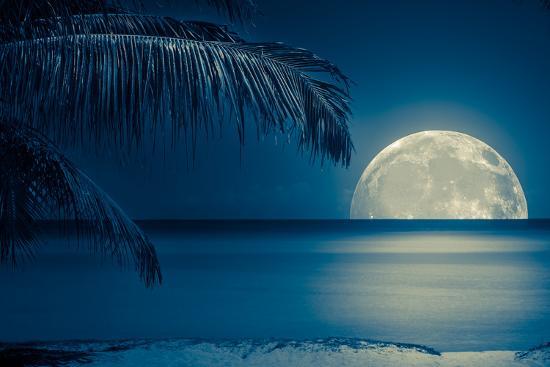 Beautiful Full Moon Reflected on the Calm Water of a Tropical ...