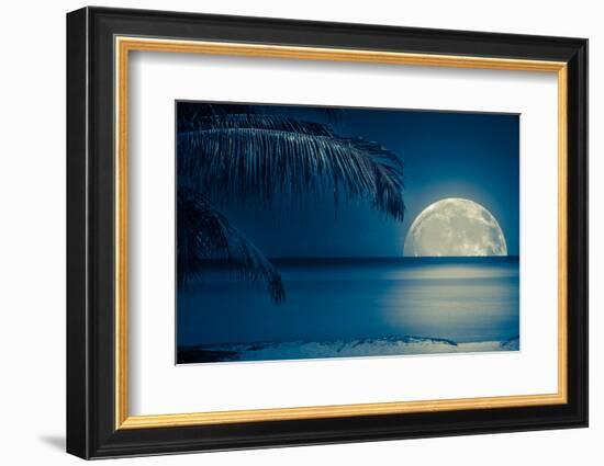 Beautiful Full Moon Reflected on the Calm Water of a Tropical Beach (Toned in Blue)-Kamira-Framed Photographic Print