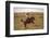 Beautiful Girl Riding a Horse  in Countryside.-PH.OK-Framed Photographic Print