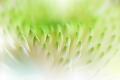 Premium Photographic Print