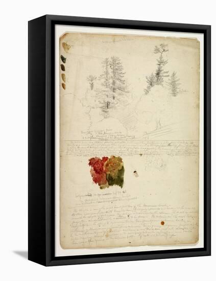 Beautiful Groups of Pines; Tints from Maples, New Hampshire, September 30th 1828-Thomas Cole-Framed Premier Image Canvas