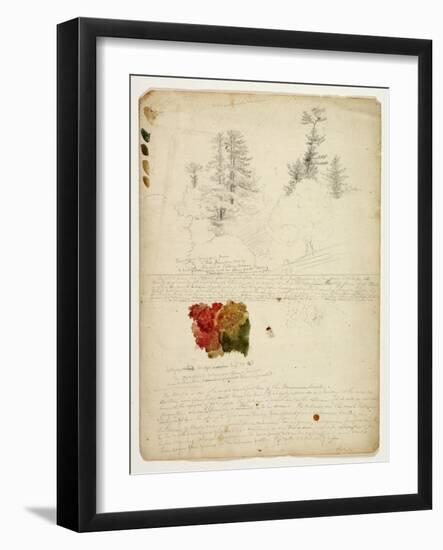 Beautiful Groups of Pines; Tints from Maples, New Hampshire, September 30th 1828-Thomas Cole-Framed Giclee Print