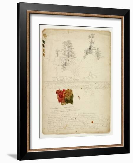 Beautiful Groups of Pines; Tints from Maples, New Hampshire, September 30th 1828-Thomas Cole-Framed Giclee Print