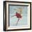 Beautiful Ice Skater-Milovelen-Framed Art Print