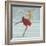 Beautiful Ice Skater-Milovelen-Framed Art Print