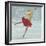 Beautiful Ice Skater-Milovelen-Framed Art Print