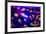 Beautiful Jellyfish, Medusa in the Neon Light with the Fishes. Aquarium with Blue Jellyfish and Lot-The Len-Framed Photographic Print