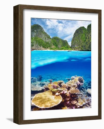 Beautiful Lagoon with Coral Reef Bottom Underwater and above Water Split View-haveseen-Framed Photographic Print