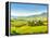 Beautiful Landscape in Tuscany, Italy-sborisov-Framed Premier Image Canvas