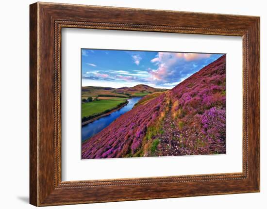 Beautiful Landscape of Scottish Nature--Markus--Framed Photographic Print