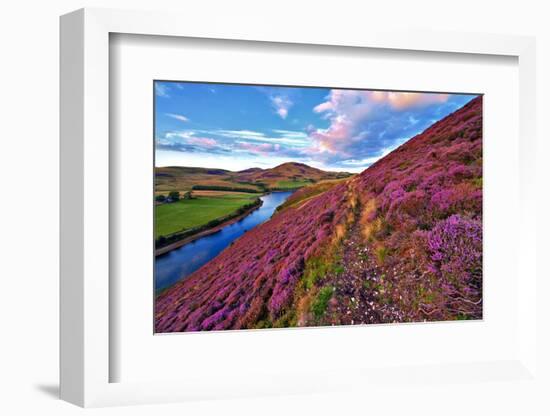 Beautiful Landscape of Scottish Nature--Markus--Framed Photographic Print