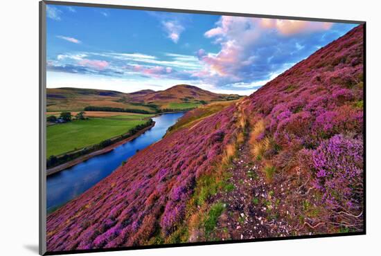 Beautiful Landscape of Scottish Nature--Markus--Mounted Photographic Print