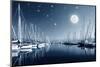 Beautiful Landscape of Yacht Harbor at Night, Full Moon, Marina in Bright Moonlight, Luxury Water T-Anna Omelchenko-Mounted Photographic Print